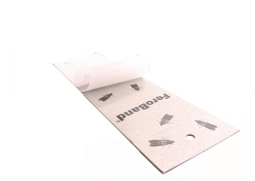 Lapač potravinových molí Feroband