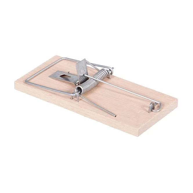 Pasca na myši - buk 121151