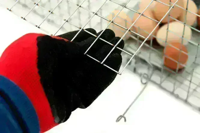 Profesionálna odchytová pasca na kuny, mačky, líšky, potkany, krysy, lasice a tchora 100x26x26V2