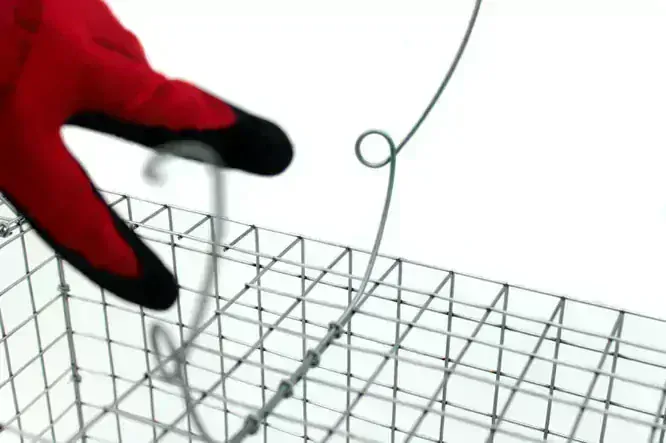 Profesionálna odchytová pasca na kuny 82x26x26