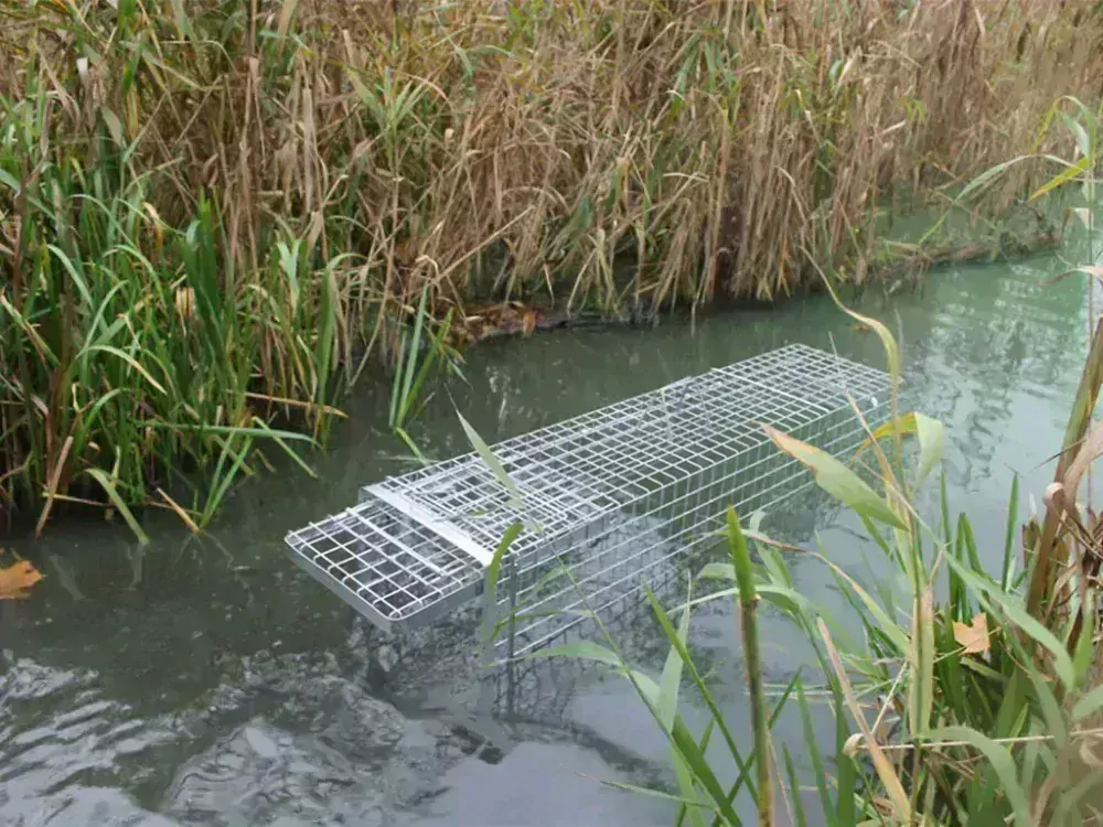 Profesionálna odchytová pasca na líšky, kuny, vydry a mačky 120x34x42